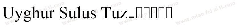 Uyghur Sulus Tuz字体转换